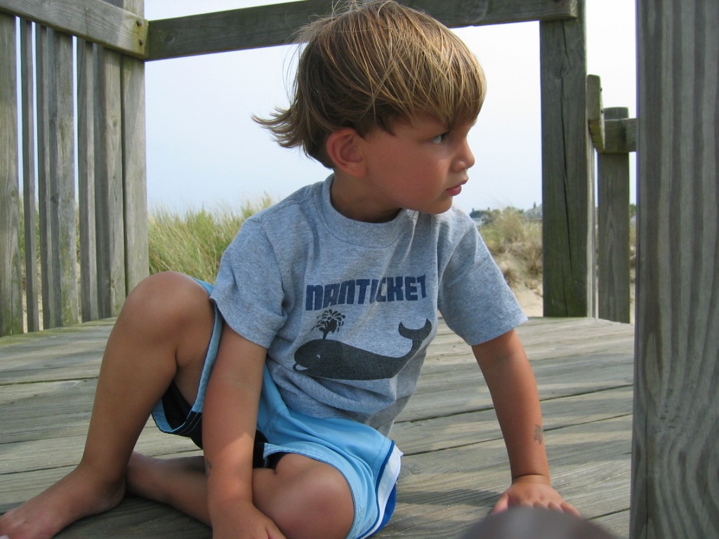 A young boy sits on a wooden deck, looking thoughtfully towards the distance, wearing a gray whale shirt.